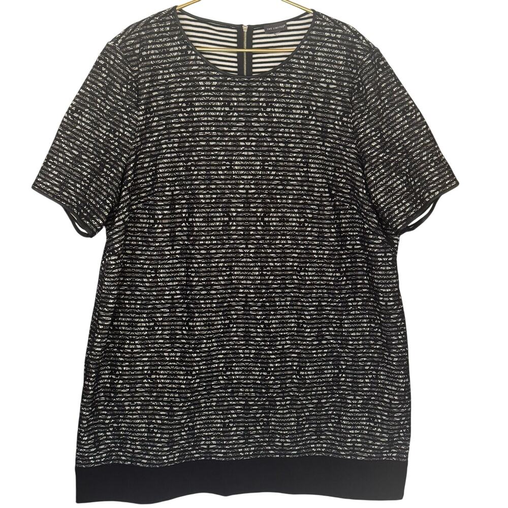 Plus Size Dress The Limited